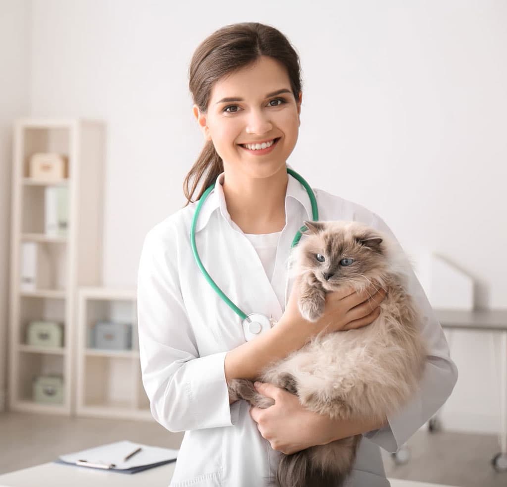 As túas mascotas nas mellores mans